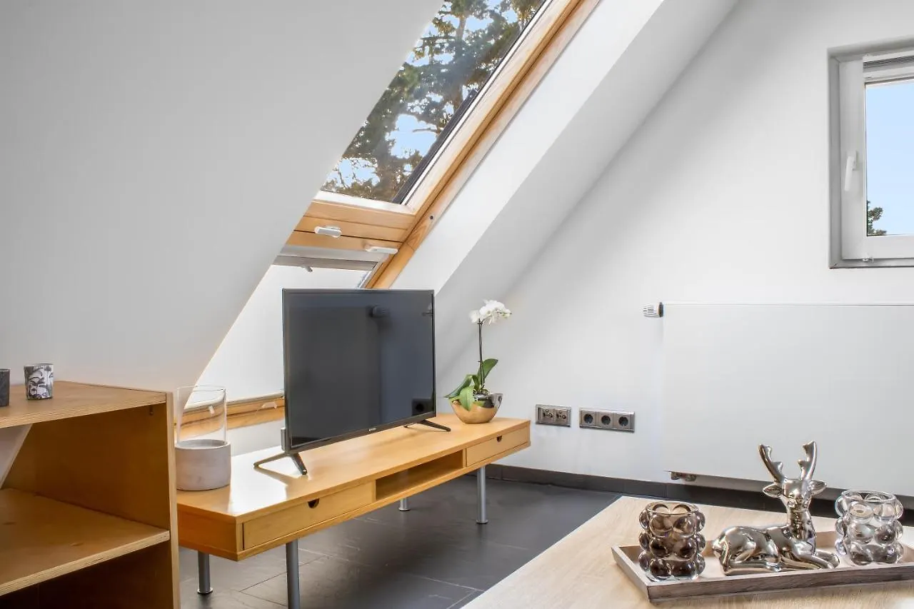 Gesamte Unterkunft - Buero - Kueche - Netflix Nuremberg Apartment