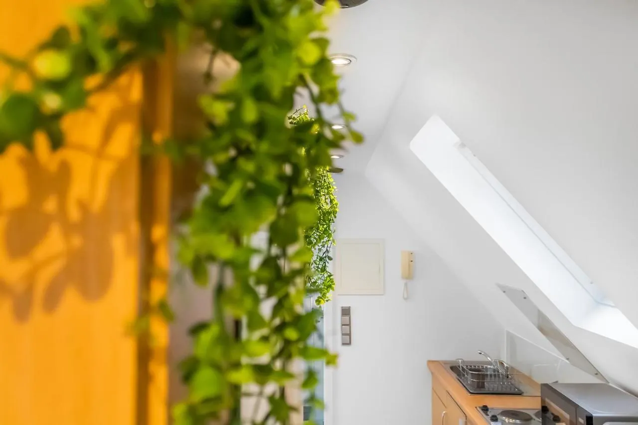 Gesamte Unterkunft - Buero - Kueche - Netflix Nuremberg Apartment