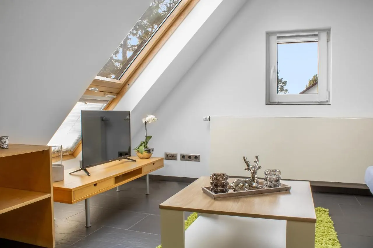 Gesamte Unterkunft - Buero - Kueche - Netflix Nuremberg Apartment